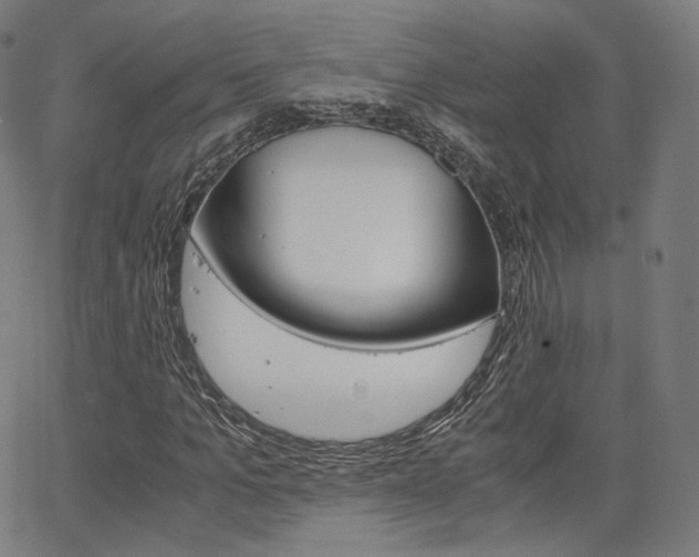 X0000063500965200601201022
