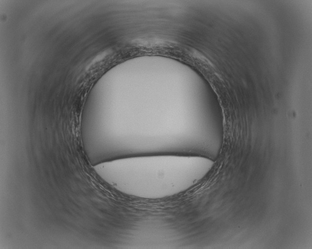 X0000063500966200601201022
