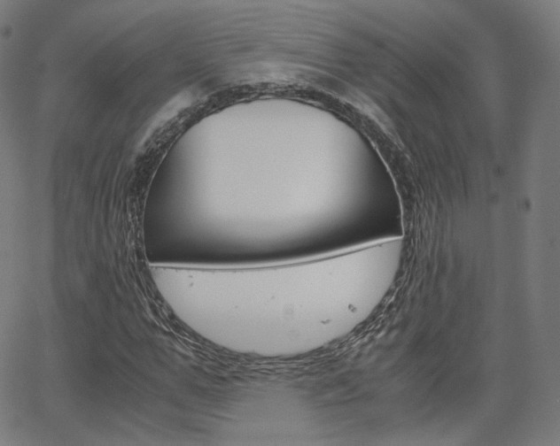 X0000063500967200601201022
