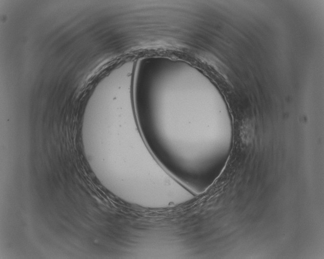 X0000063500968200601201022