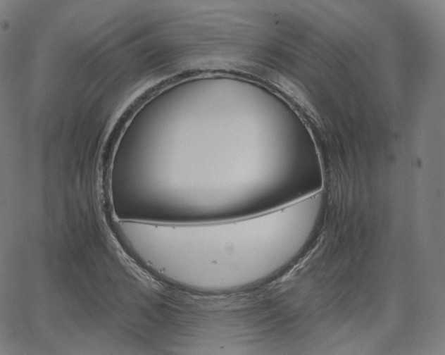 X0000063500976200601201022