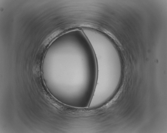 X0000063500977200601201022