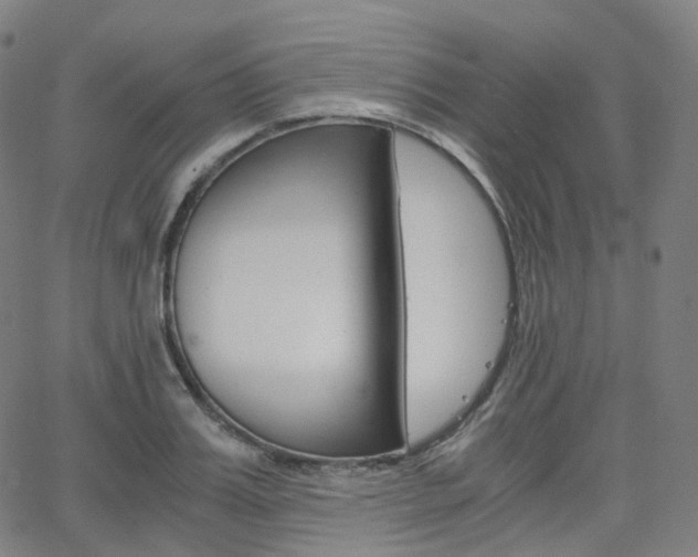 X0000063500987200601201022