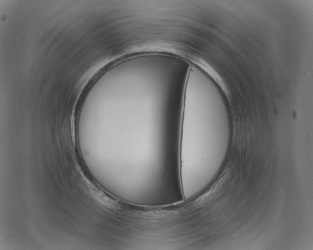 X0000063500988200601201022