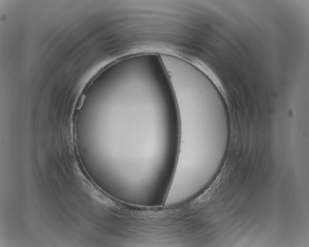 X0000063500996200601201021