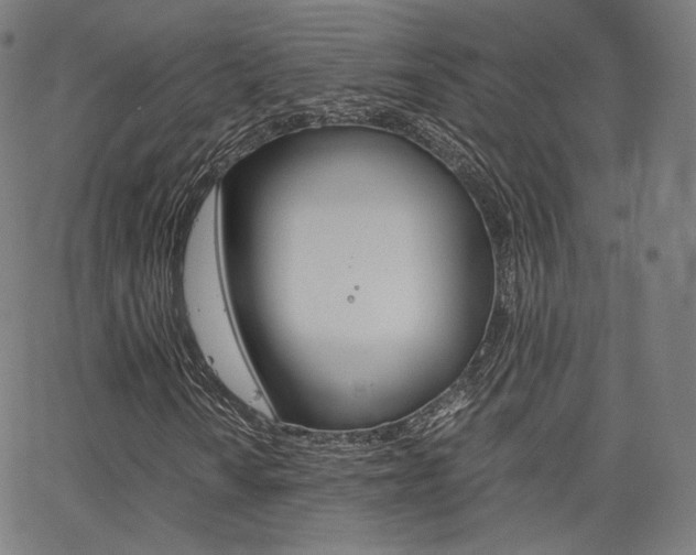 X0000063501010200601201020