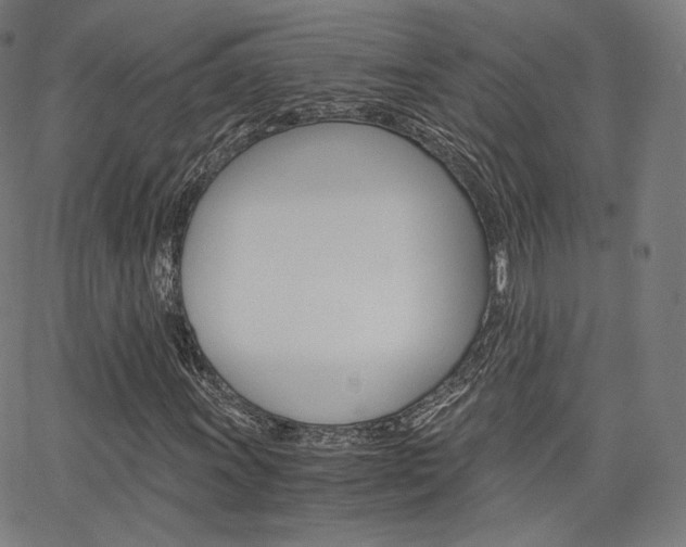 X0000063501011200601201020