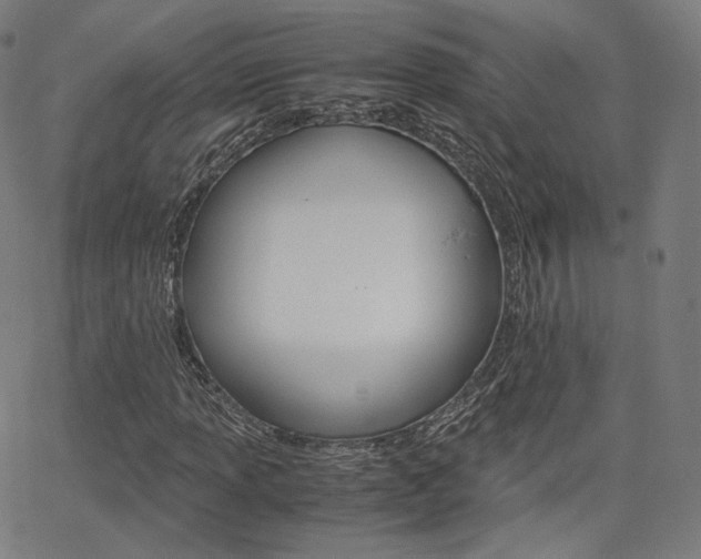 X0000063501013200601201021