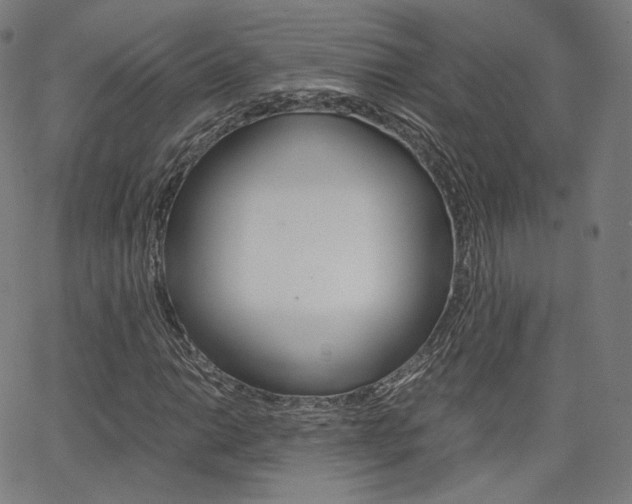 X0000063501014200601201021