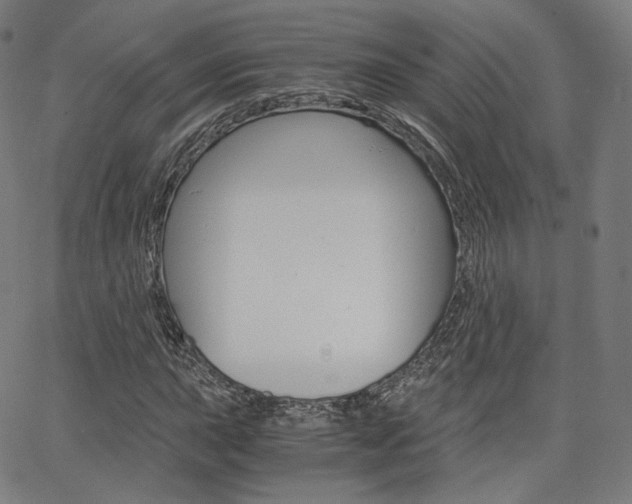 X0000063501015200601201021