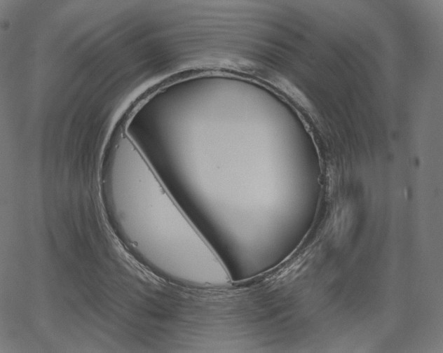 X0000063501020200601201021