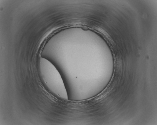 X0000063501023200601201021