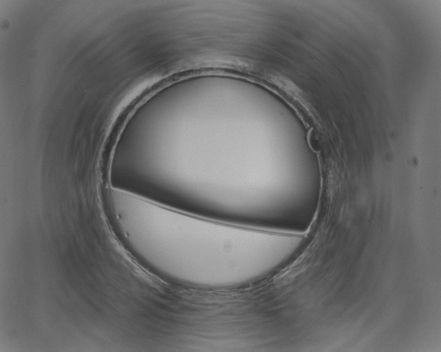 X0000063501024200601201021