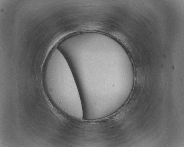 X0000063501031200601201021