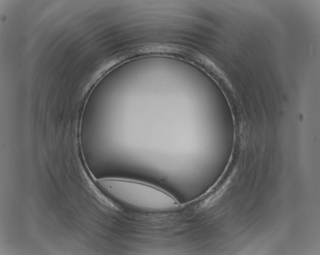 X0000063501033200601201021