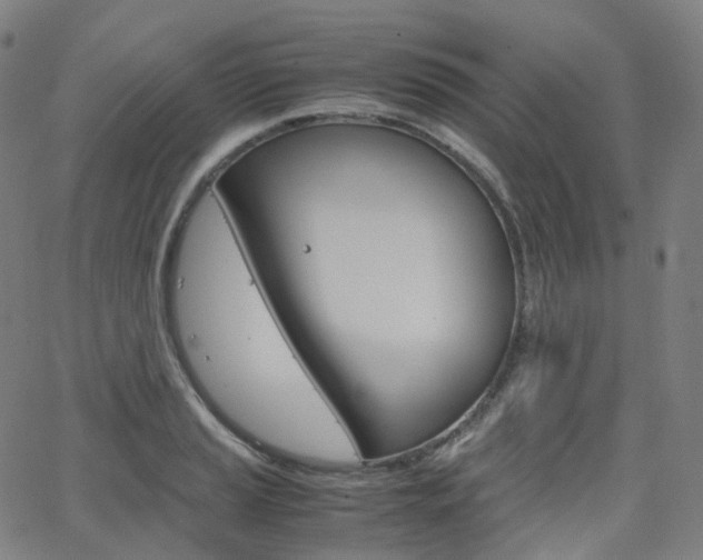 X0000063501037200601201021