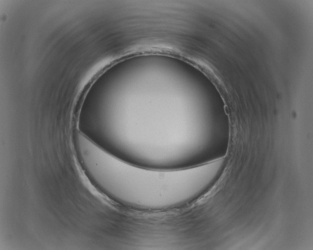 X0000063501038200601201021