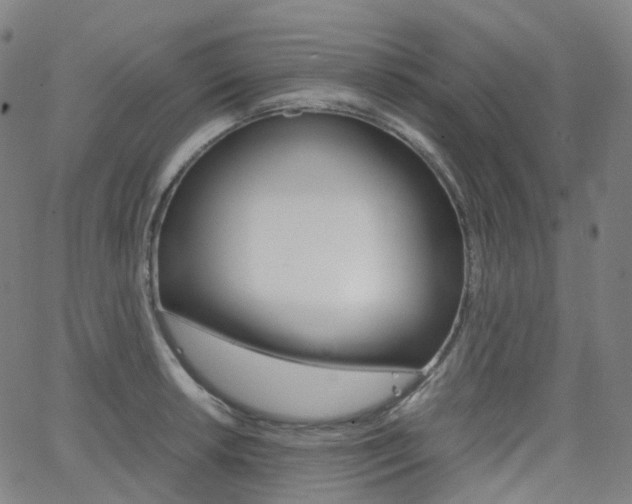 X0000063501042200601201021