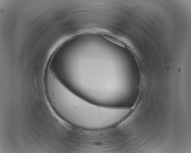X0000063501046200601201021