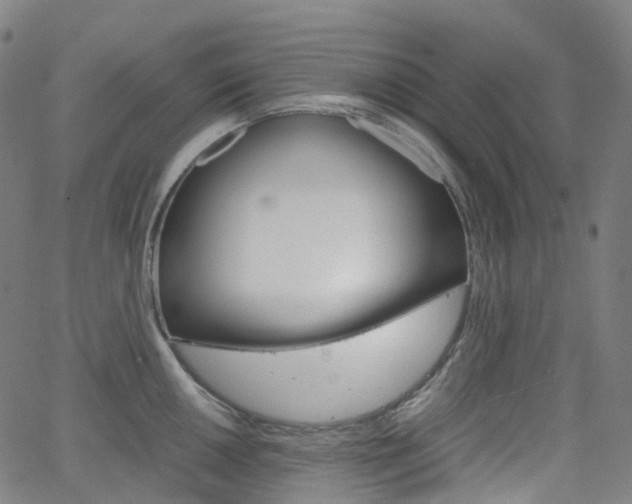 X0000063501050200601201021