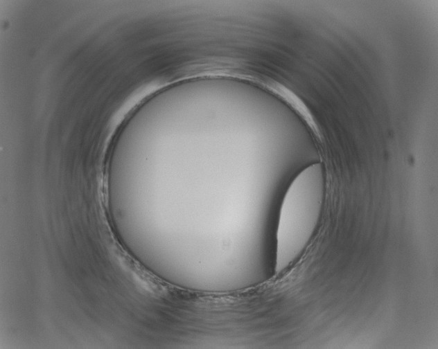 X0000063501051200601201021