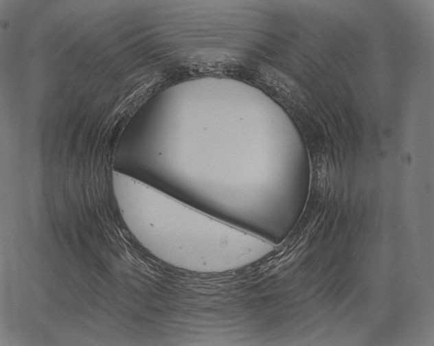 X0000063501060200601201020