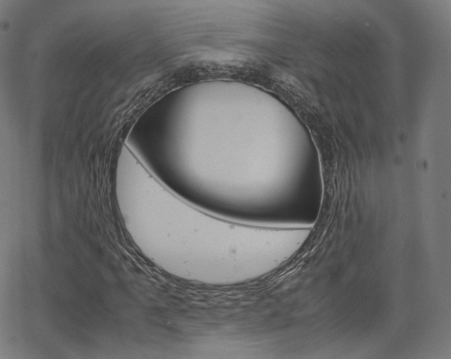 X0000063501061200601201020