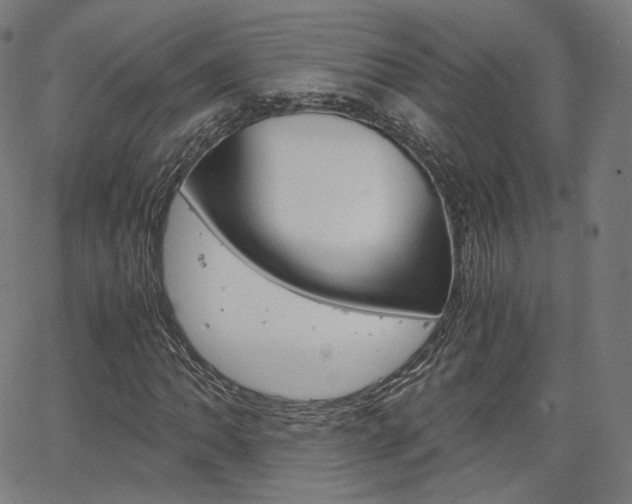 X0000063501062200601201020