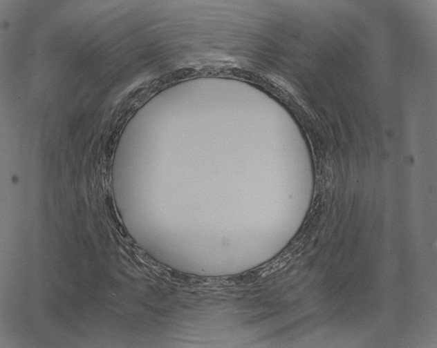 X0000063501063200601201020