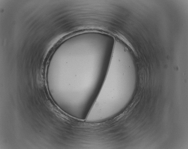 X0000063501068200601201020