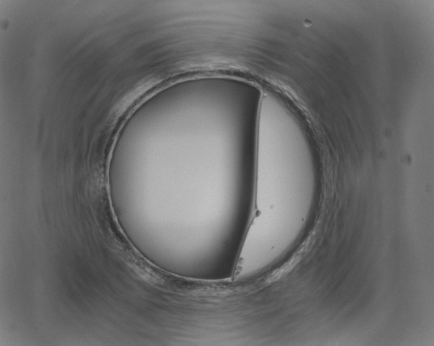 X0000063501073200601201020