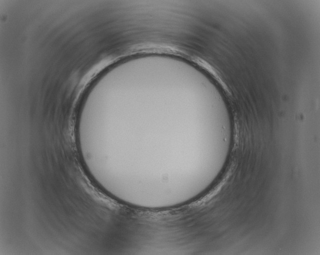 X0000063501074200601201020