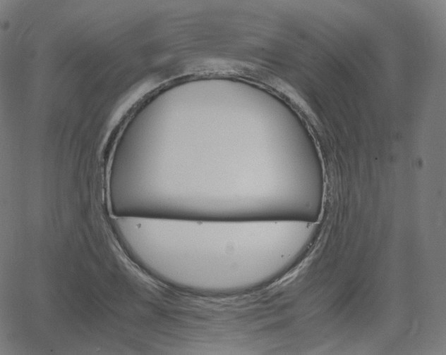 X0000063501075200601201020