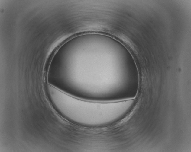 X0000063501077200601201020