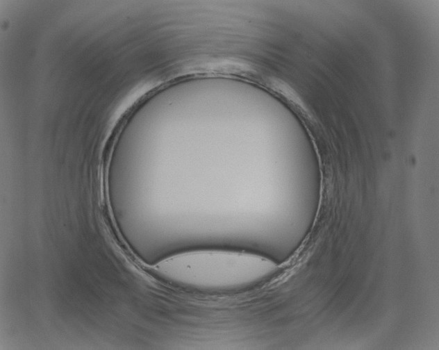 X0000063501079200601201020