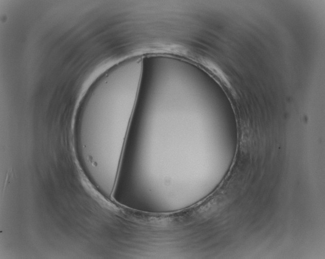 X0000063501080200601201020