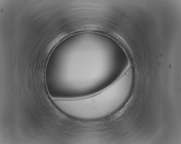 X0000063501081200601201020