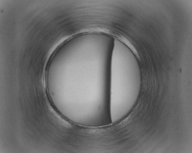 X0000063501084200601201020