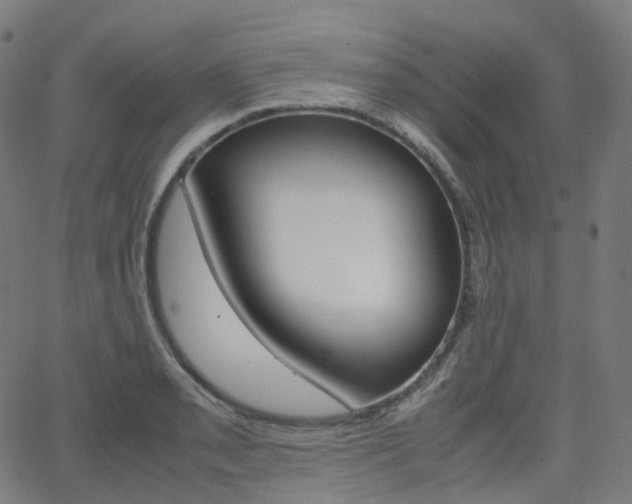 X0000063501085200601201020