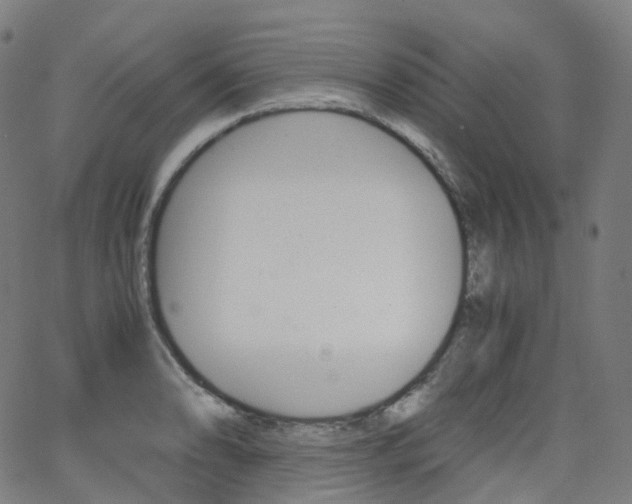 X0000063501086200601201020