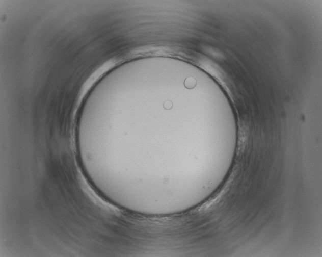 X0000063501090200601201020