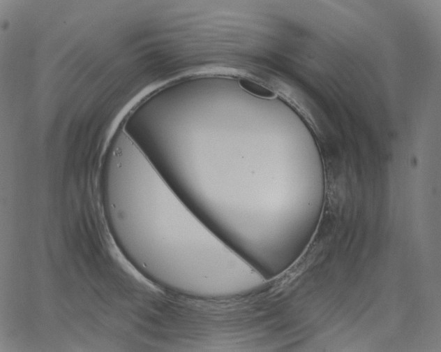 X0000063501092200601201020