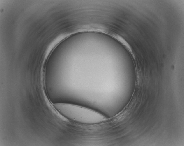 X0000063501096200601201020