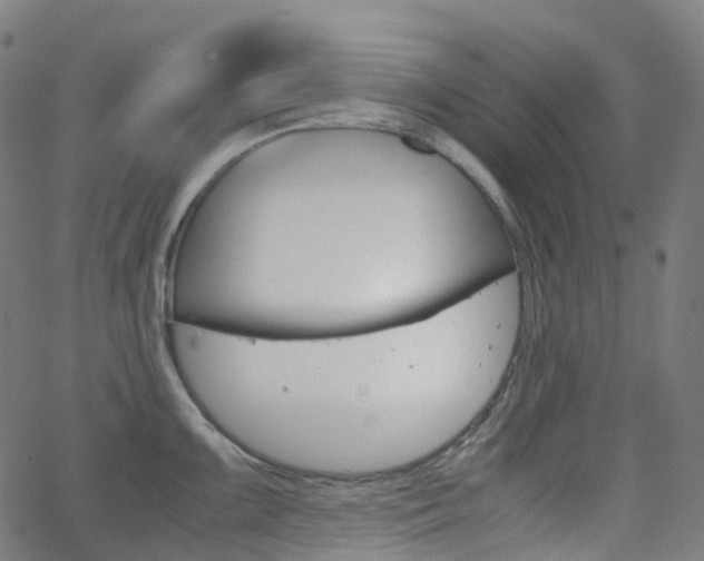 X0000063501099200601201020