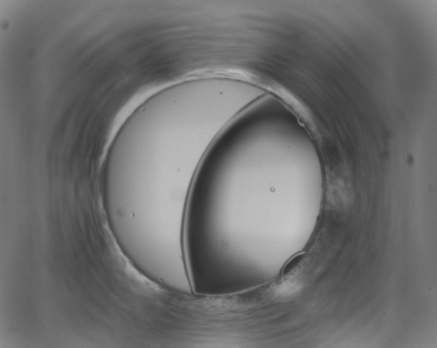 X0000063501102200601201020