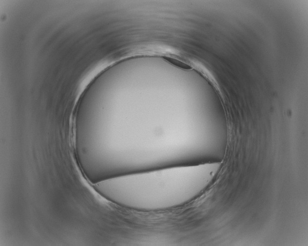 X0000063501103200601201020