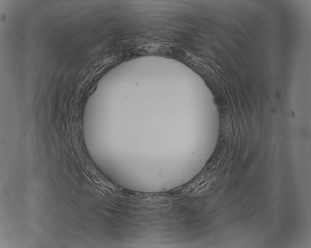 X0000063501105200601201019