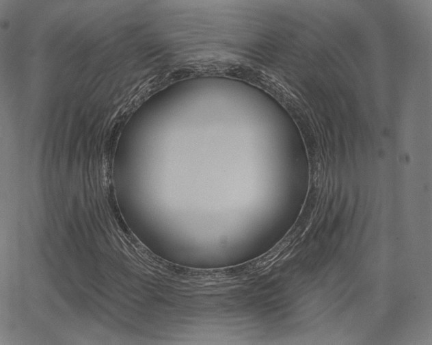 X0000063501108200601201019