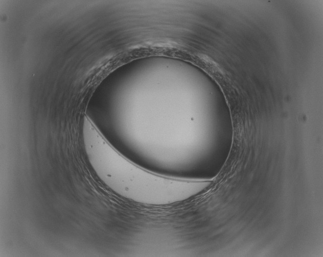X0000063501110200601201019
