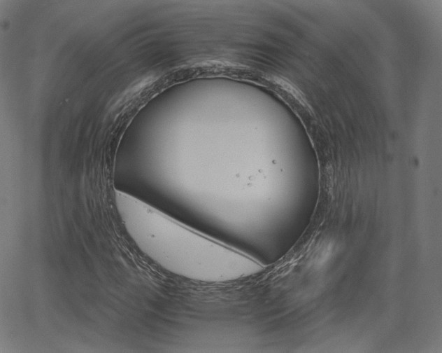 X0000063501111200601201019